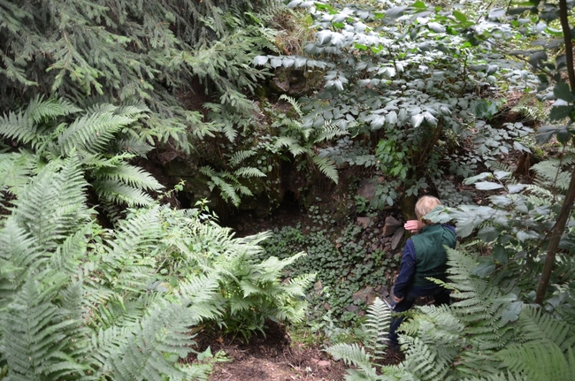 Vzhůru na Šonovskou sopku