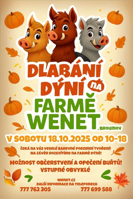 Dlabání dýní na farmě Wenet
