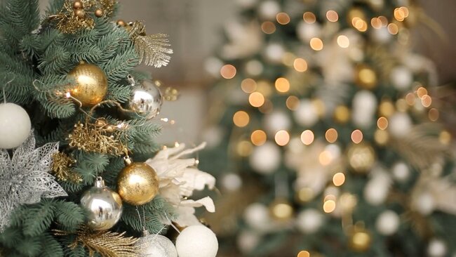 Předvánoční hudební podvečer