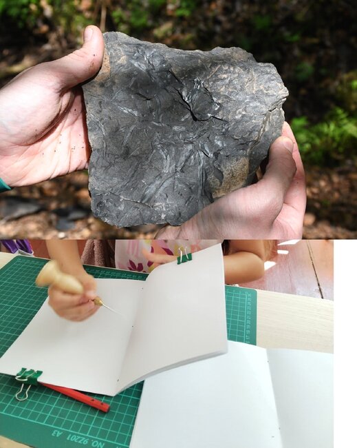 Terénní exkurze: S geologem za uhlím Hronovska