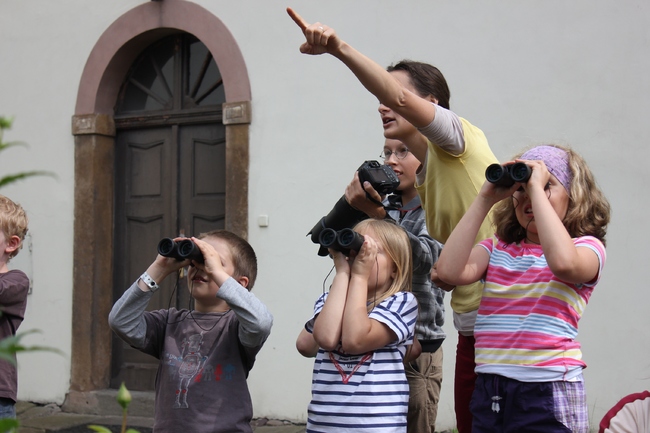 Nabídka Maiwaldovy akademie