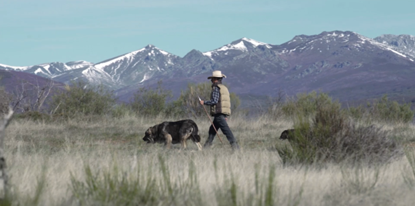 Soužití člověka a vlka / projekce s debatou