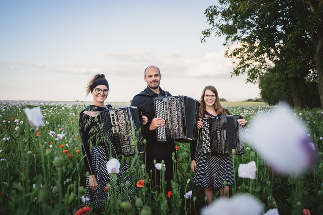 Check Accordion Trio