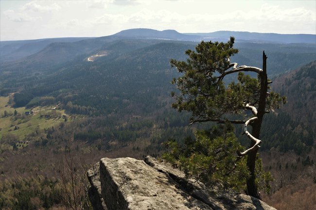 Exkurze S geologem na Božanovský Špičák