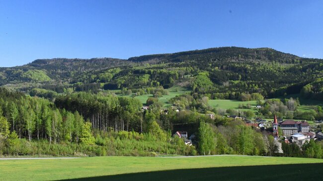 Terénní exkurze S geologem na stolovou horu Bor