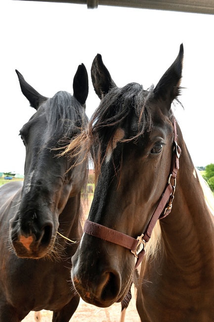 Jízdárna Hejtmánkovice