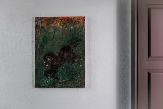 Autorská komentovaná prohlídka výstavy Hany Garové „Conquistador“