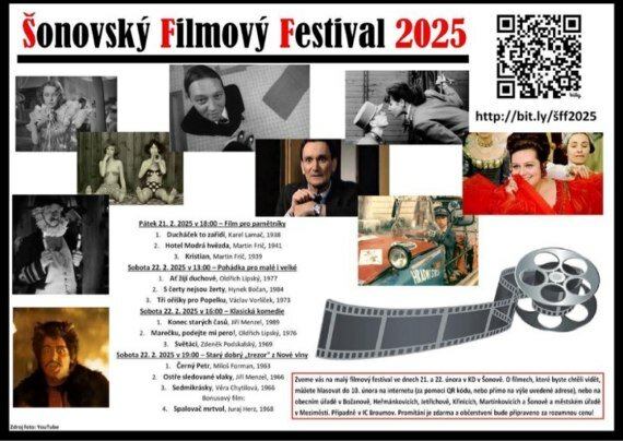 Šonovský filmový festival