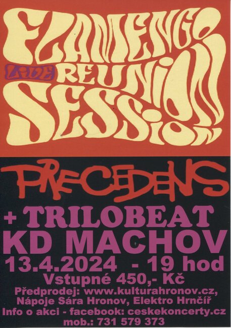 Flamengo Reunion Session - Precedens+Trilobeat