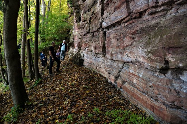 Prázdninová geologická vycházka za prvohorními močály