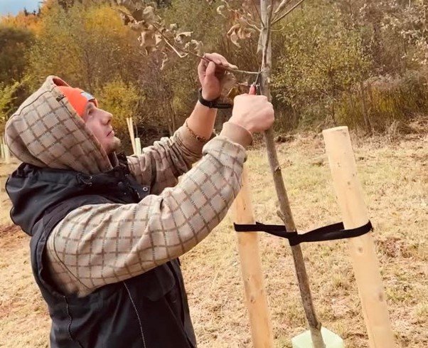 Terénní exkurze: Stromy kolem nás