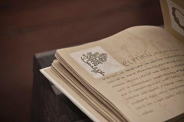 Knižní vazby / česko-polská spolupráce