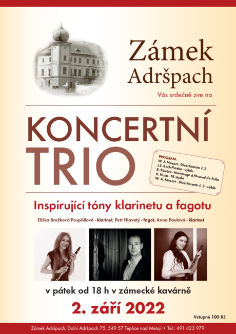 Koncertní Trio 