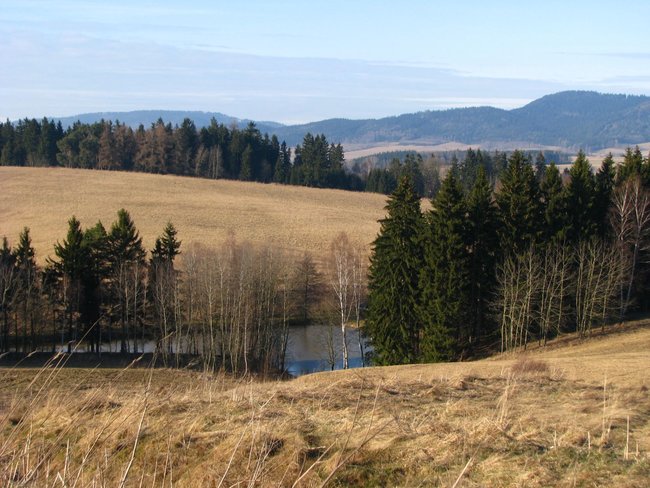 Terénní exkurze po lesích Broumovska