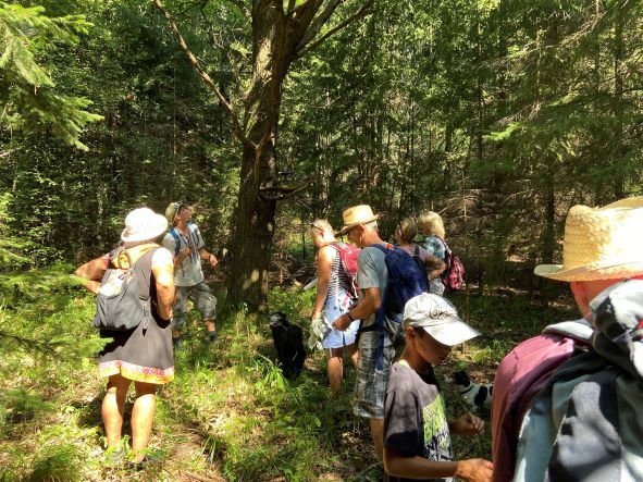 Odborná exkurze: Koloběh energie jako tajemství ekosystému