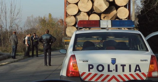 KineDok: Loupežníci lesa