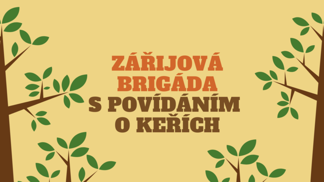 Zářijová brigáda na plácku u Stěnavy