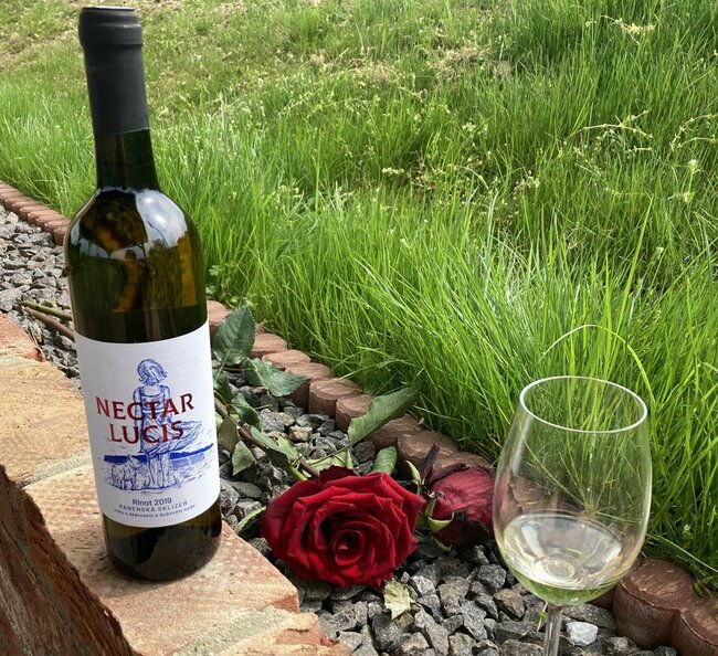 Speciální degustace vín z Vinařství Nectar Lucis - PRO NEMOC ZRUŠENO