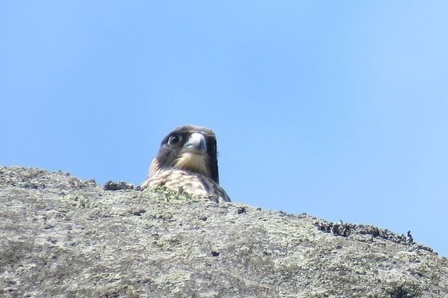 Dolní labyrint na Ostaši bez omezení