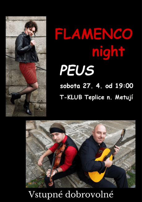 Peus: Flamenco night