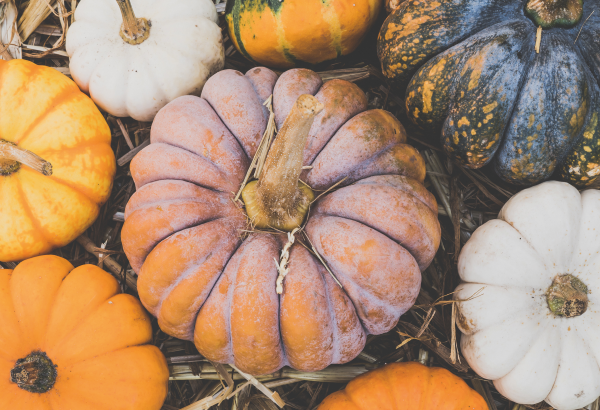 Podzimní trh v broumovském klášteře