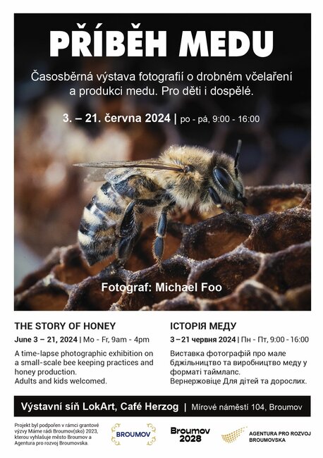Příběh medu/ The story of honey
