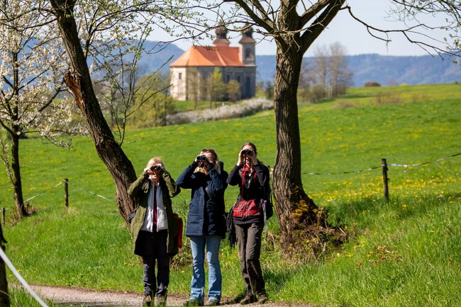 Terénní exkurze: Vycházka za navrátilci z teplých krajů