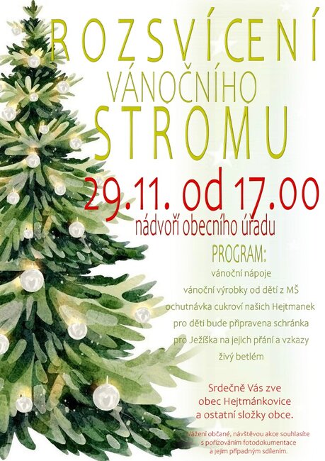 Rozsvícení vánočního stromu