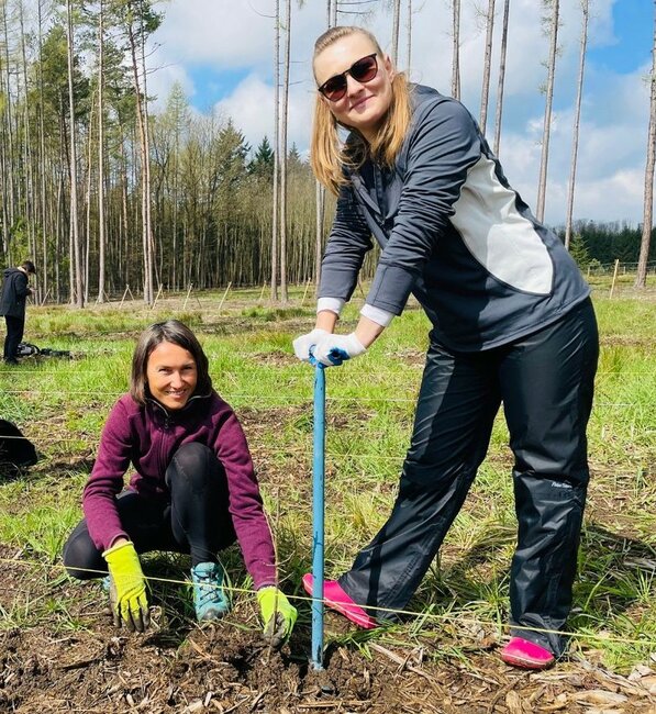 Výsadba stromů ve Vižňově