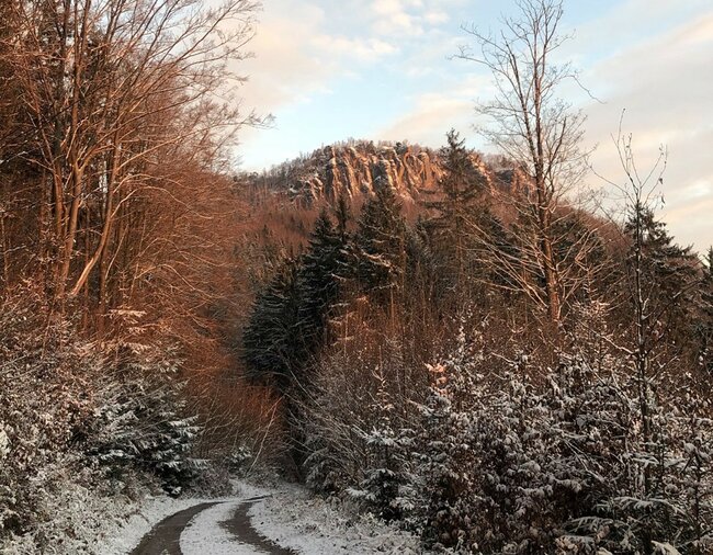 Science Café: 745 let hospodaření v benediktinských lesích
