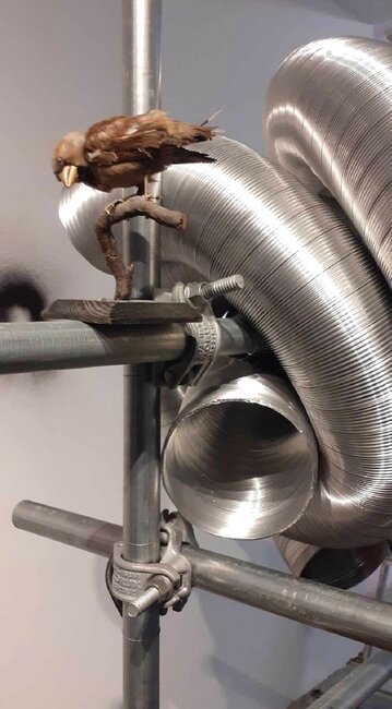 Sobotní ateliér – STROJ ČASU