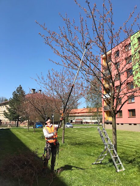 Terénní exkurze: Stromy ve městě