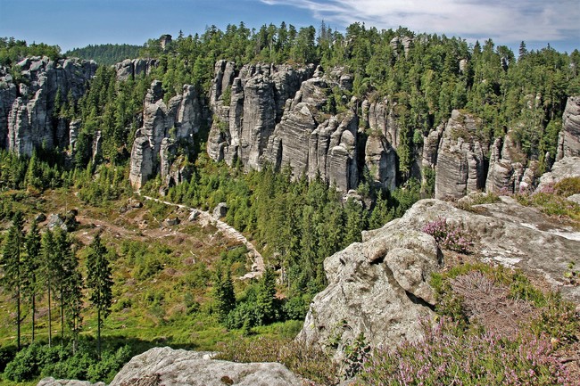 Pozorování hnízdění sokola stěhovavého v Teplických skalách
