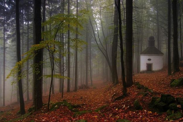 Pánova cesta - z Ameriky do Suchého Dolu