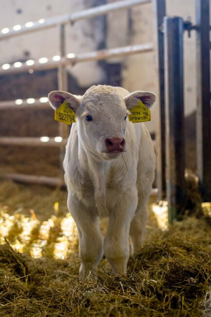 EKOFARMA ADRŠPACH s.r.o.