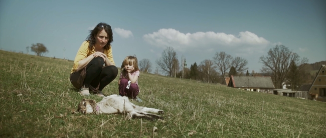 Návrat vlků do české přírody rozděluje společnost: Dokument Vlci na hranicích vstoupí do kin 3. června