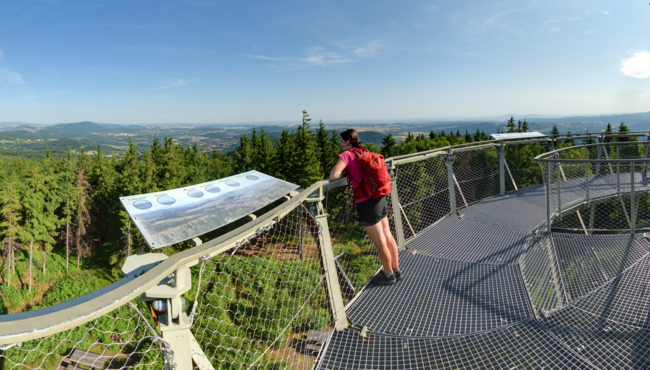 Borowa, Jedlina-Zdrój 